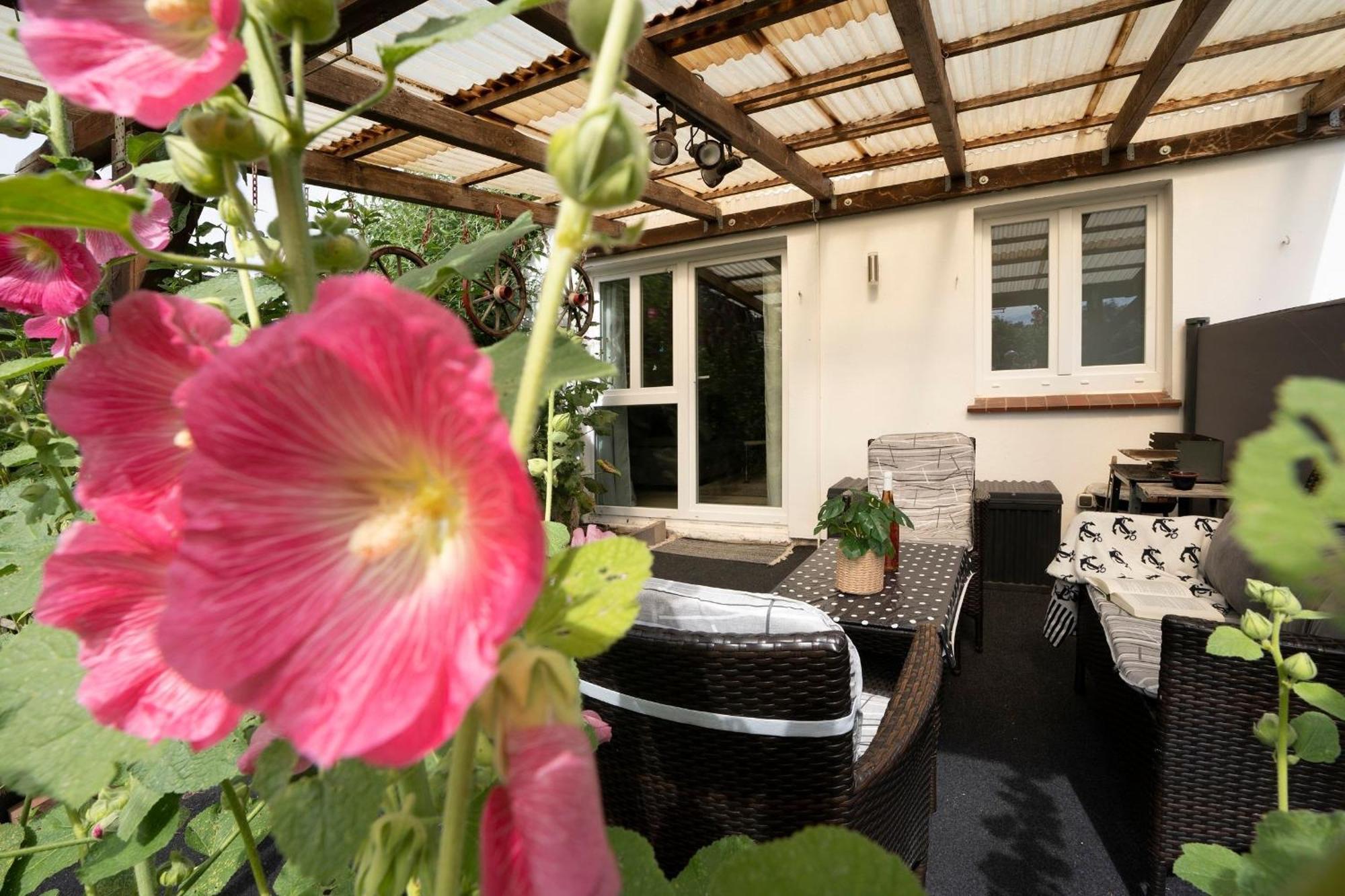 Haus Waldfrieden Ferienhaeuschen Waldfrieden Apartamento Haffkrug Exterior foto